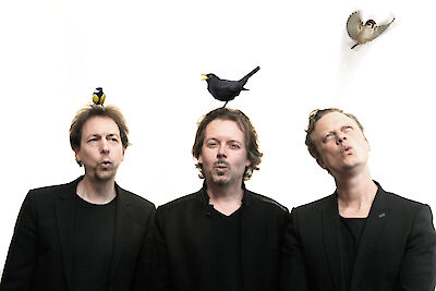 Announcement image for the event marcus schinkel trio