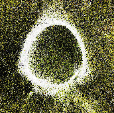 Ankündigungsmotiv für die Veranstaltung Amiira – Klaus Gesing / Björn Meyer / Samuel Rohrer