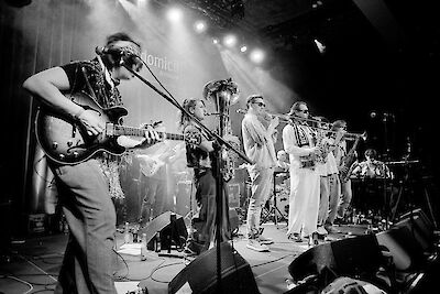 Eine große Band performs live auf einer Bühne, wobei mehrere Musikerinnen und Musiker mit verschiedenen Instrumenten wie Gitarre, Tuba, Trompete und Saxofon zu sehen sind. Das schwarz-weiße Foto zeigt die Gruppe im „domicil" in Dortmund, beleuchtet von Scheinwerfern, die eine dynamische Konzertatmosphäre erzeugen.