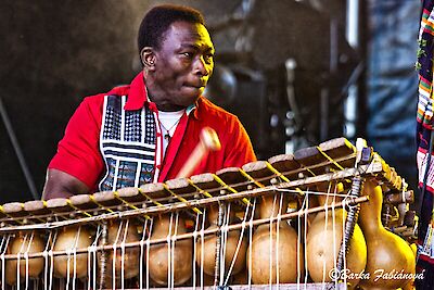 Ankündigungsmotiv für die Veranstaltung Jazz und Weltmusik im Hofgarten